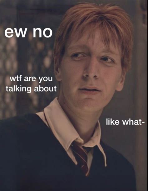 fred and george weasley memes